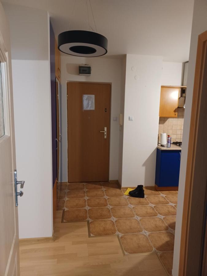 Apartmán Artemida *